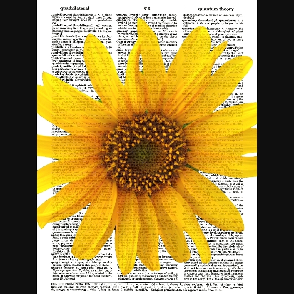 Sunflower Vintage Dictionary Art Print Home Decor